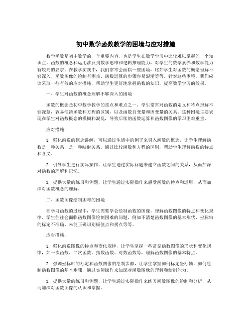 初中数学函数教学的困境与应对措施