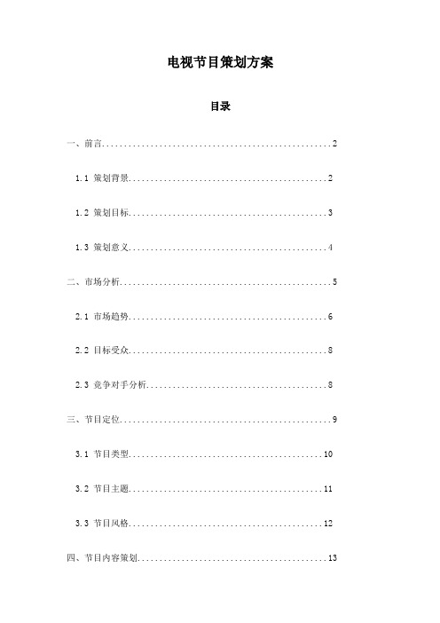 电视节目策划方案