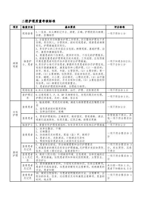 二级护理质量考核标准