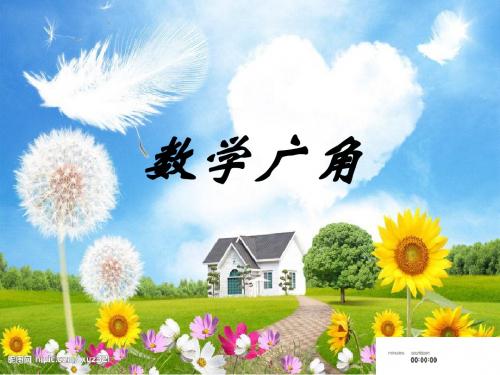 数学广角---搭配