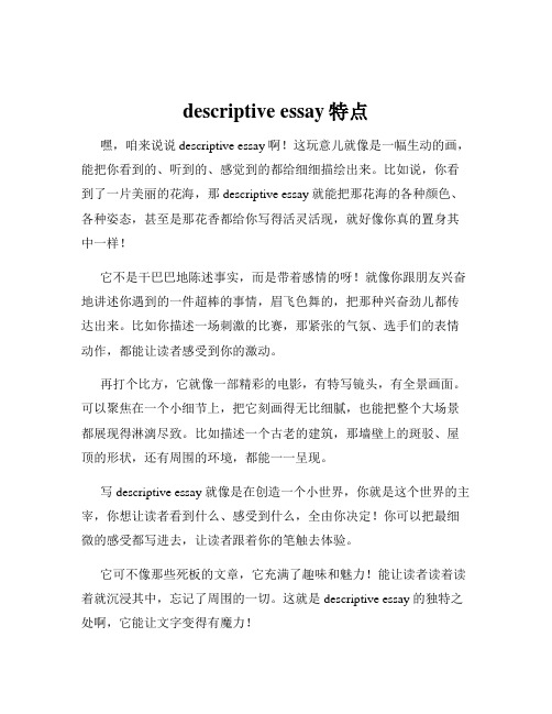 descriptive essay特点