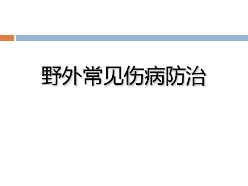 野外常见伤病预防与处理(老手)