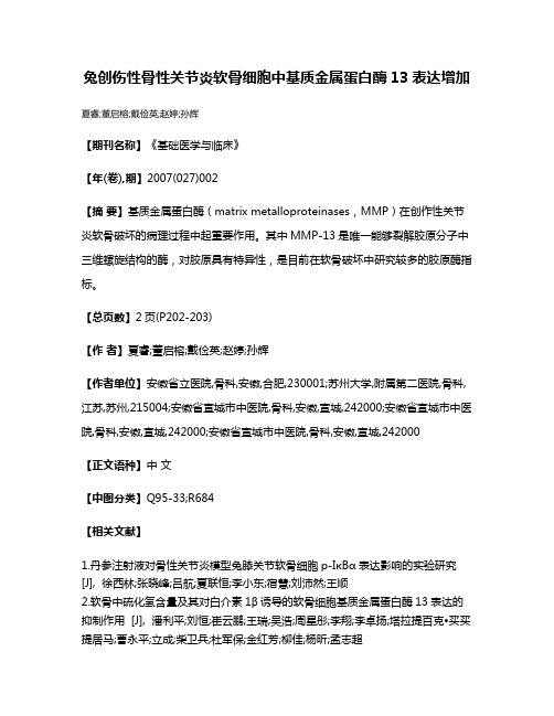 兔创伤性骨性关节炎软骨细胞中基质金属蛋白酶13表达增加