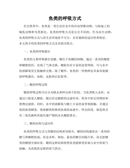 鱼类的呼吸方式