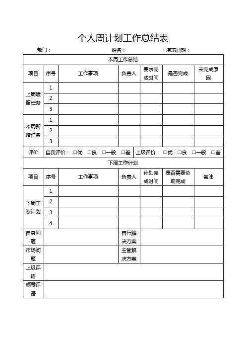 个人周计划工作总结表