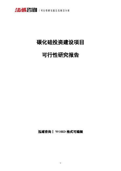 碳化硅投资建设项目可行性研究报告