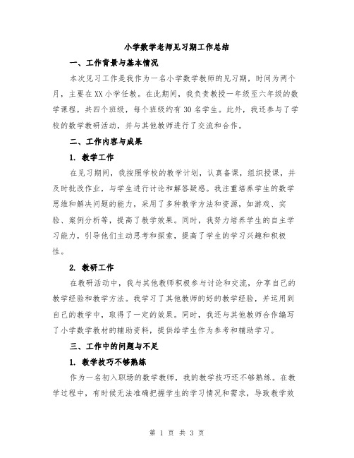 小学数学老师见习期工作总结