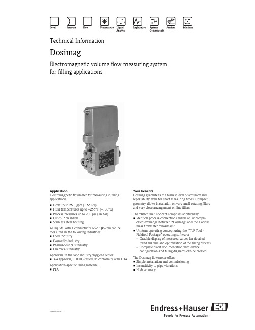 TI066D 24 ae 电磁流量计产品介绍说明书