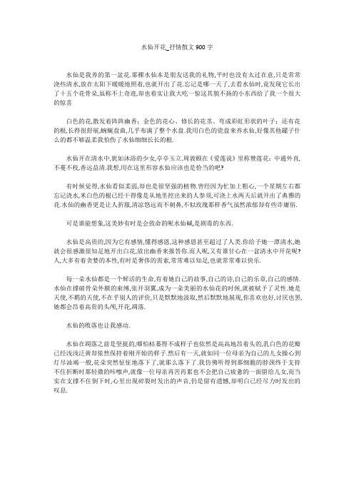 初中作文：水仙开花_抒情散文900字