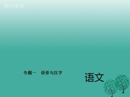 四川版2017中考语文总复习第二部分积累与运用专题一语音与汉字课件