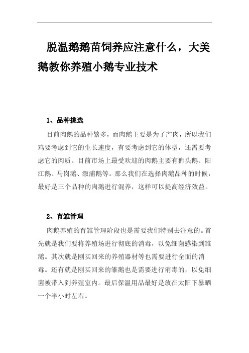 脱温鹅鹅苗饲养应注意什么,大美鹅教你养殖小鹅专业技术