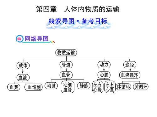 人教版七年级下册生物第四章人体内物质的运输 