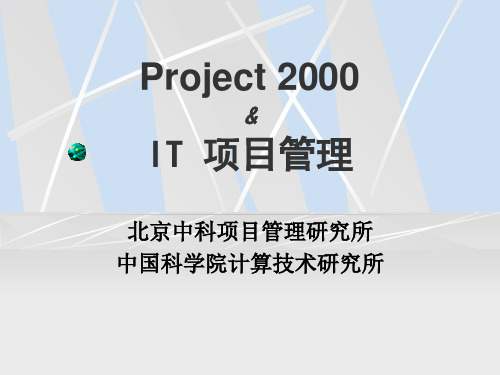 PROJECT 2000 与IT专案管理