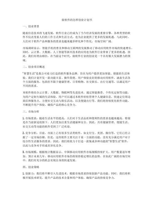 做软件的怎样创业计划书