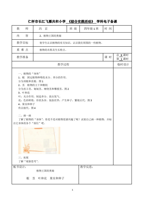 人民教育出版社四年级上册《综合实践活动》电子备课(教案、教学设计)精简版之植物王国的奥秘教案