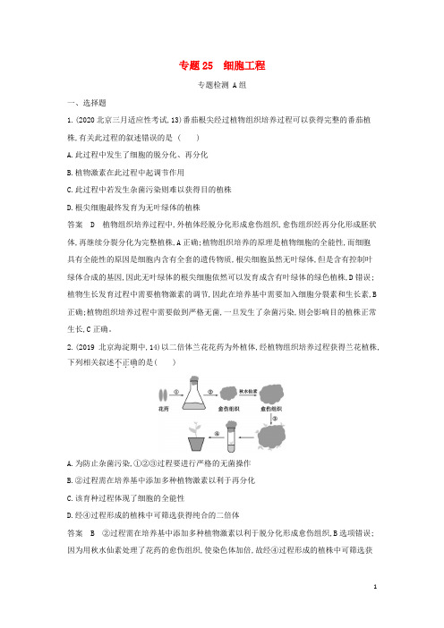 山东专用高考生物一轮复习专题25细胞工程专题检测含解析