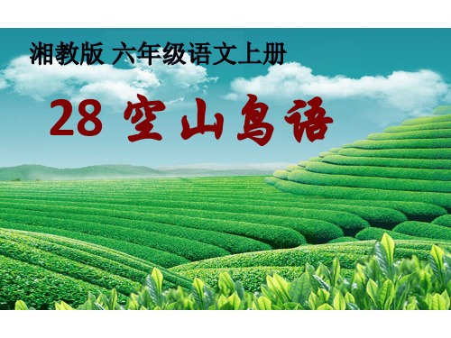 六年级上册语文课件28空山鸟语｜湘教版(共8张PPT)