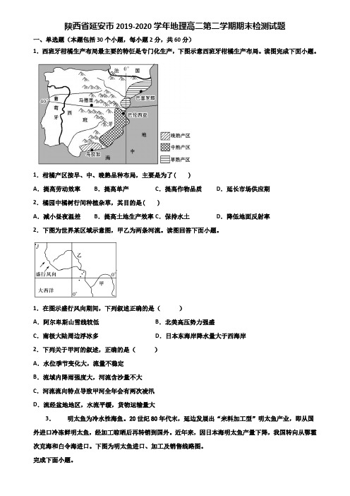 陕西省延安市2019-2020学年地理高二第二学期期末检测试题含解析