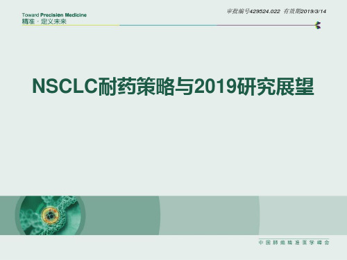 nsclc耐药策略与研究展望2019 ppt课件-PPT课件