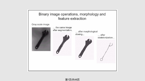图像分析与处理数学形态学PPT课件