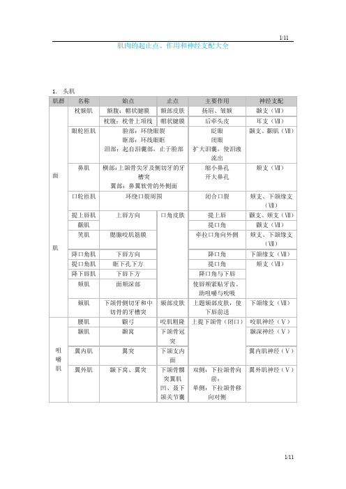 肌肉起止点_作用_神经支配说明大全