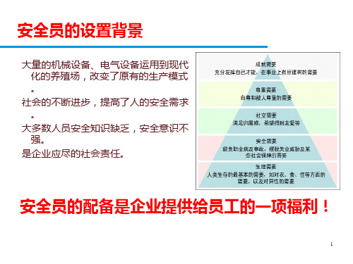 安全员培训PPT幻灯片课件