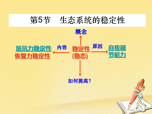 高中生物人教版必修3 生态系统的稳定性 课件(20张)