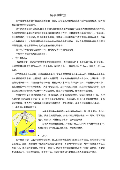 徒手切片法