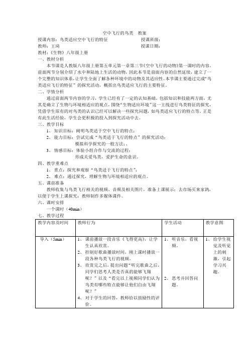 空中飞行的鸟类  教案