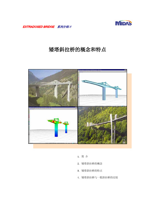 07_矮塔斜拉桥的概念及特点