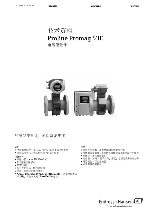 Endress+Hauser Proline Promag 53E 电磁流量计说明书