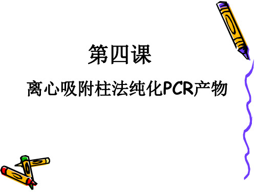 第四课 离心吸附柱法纯化PCR产物