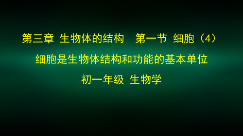 初一生物学北京版第三章生物体的结构第一节细胞4细胞是生物体结构和功能的基本单位