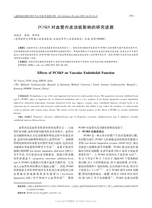 ＰＣＳＫ９对血管内皮功能影响的研究进展