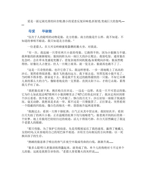 毕淑敏母爱阅读答案