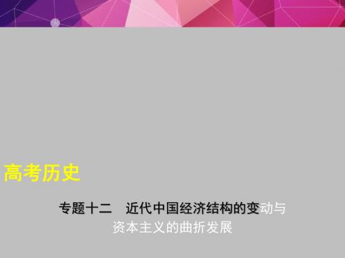 2019年江苏高考历史复习专题十二 近代中国经济结构的变动与资本主义的曲折发展