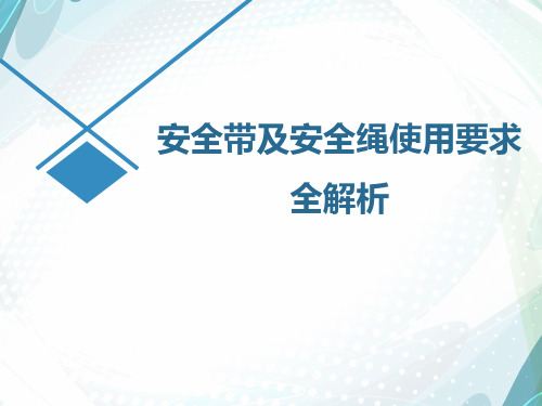 安全带、安全绳、缓冲器、防坠器培训