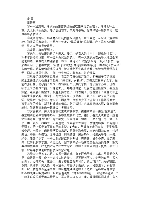 《麦天》阅读附答案