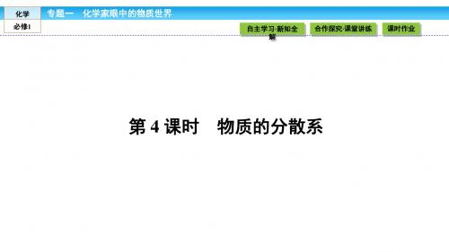 《金版新学案》2018-2019学年高中化学(苏教版)必修1课件：专题1 化学家眼中的物质世界 1.1.4