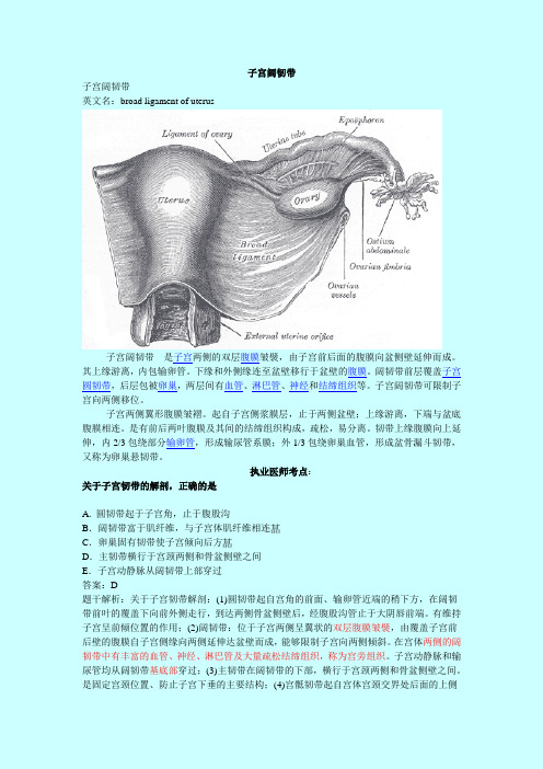 子宫阔韧带