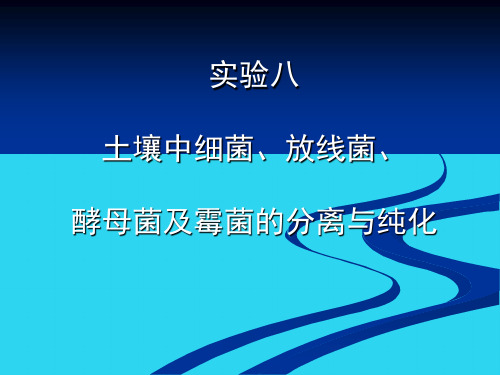 【全面版】实验八土壤中细菌、放线菌、酵母菌及霉菌的分离与纯化PPT文档