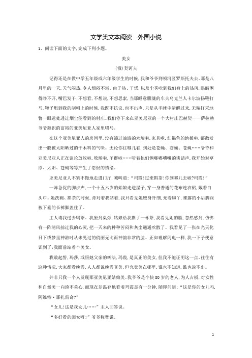 高考语文现代文阅读练习 文学类文本阅读外国小说含解析