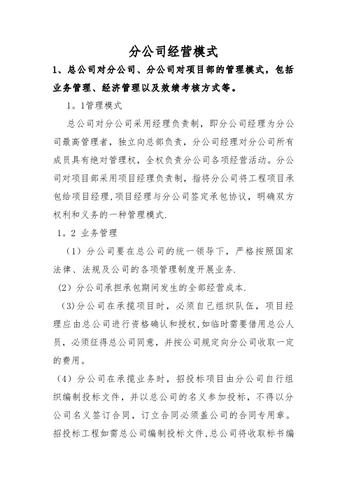 分公司经营模式