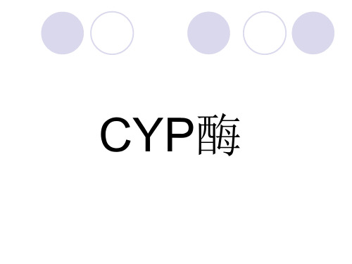 CYP酶