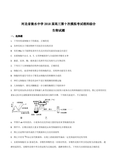 【全国百强校】河北省衡水中学2018届高三第十次模拟考试理科综合生物试题(原卷版)