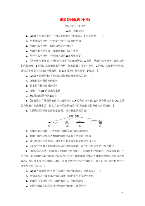 2025版高考生物一轮复习课后限时集训14含解析新人教版