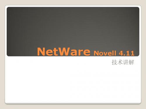 NetWare Novell 4 技术讲解