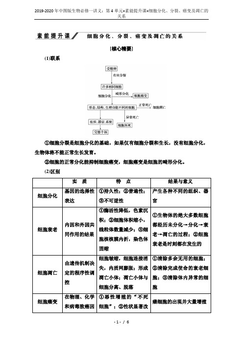 2019-2020年中图版生物必修一讲义：第4单元+素能提升课+细胞分化、分裂、癌变及凋亡的关系