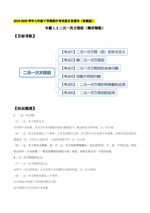 专题1.2二元一次方程组（精讲精练）（原卷版）【浙教版】