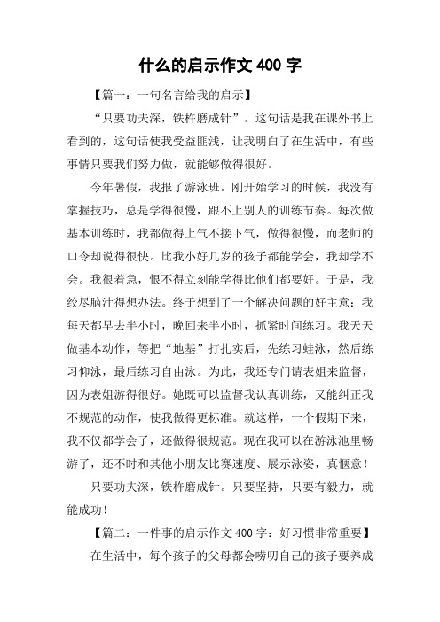 什么的启示作文400字